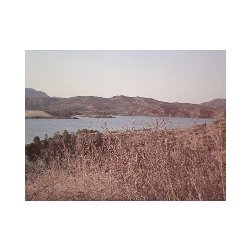 Mediocre Wooden Bag fr-FR